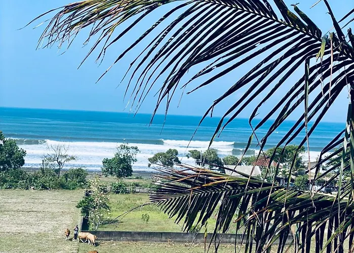 Dikaloha Surfschool And * Airsatang